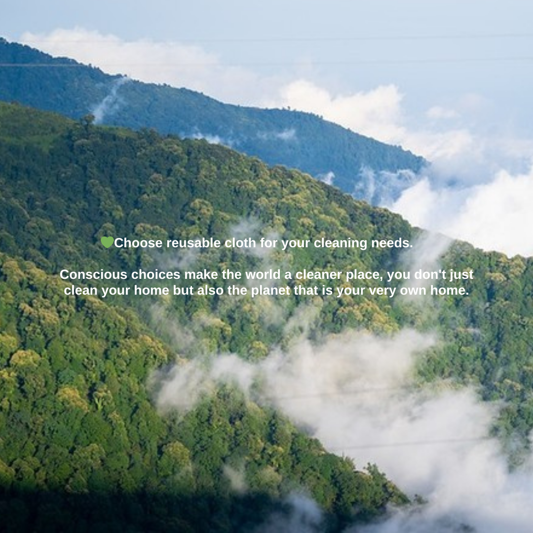 Plant Trees through One Tree Planted