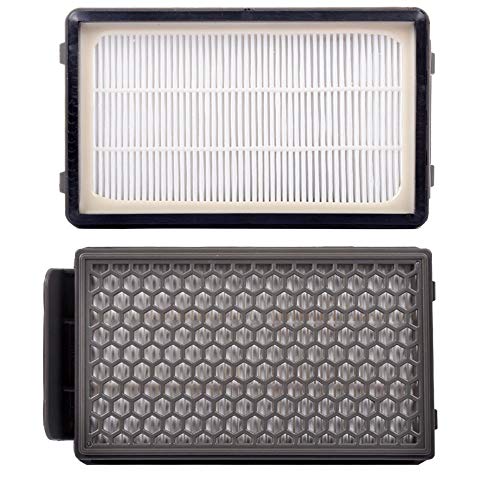KEEPOW 2 Filtros HEPA y Espuma para Aspiradoras Rowenta ZR005901 Compact Power Cyclonic RO3753EA, O3718EA, RO3724EA, RO3731EA, RO3753EA, RO3786EA, RO3798EA Tefal/Moulinex