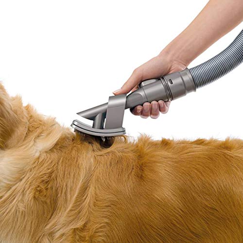 KEEPOW Groom Hundebürste für Dyson Staubsauger, Hund Tierhaarbürste Aufsatz mit Verlängerungs Schlauch und Adapter für Dyson V11 V10 V8 V7 und V6, Groom Pet Tool Zubehör Vergleichbar mit 921001-01