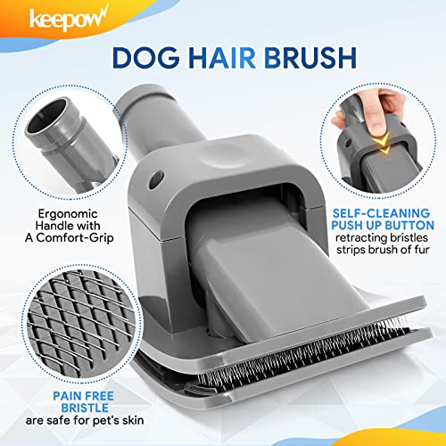 KEEPOW Brosse Chat et Chien pour Dyson V11 V10 V8 V7 V15 Aspirateur, Brosse de Toilettage pour Chien, Tuyau Extension et Adaptateur, Lot de 3 Accessoires